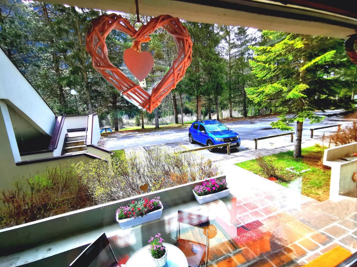 Dapolo - Cosy Appartment In Val Di Fassa Campestrin エクステリア 写真