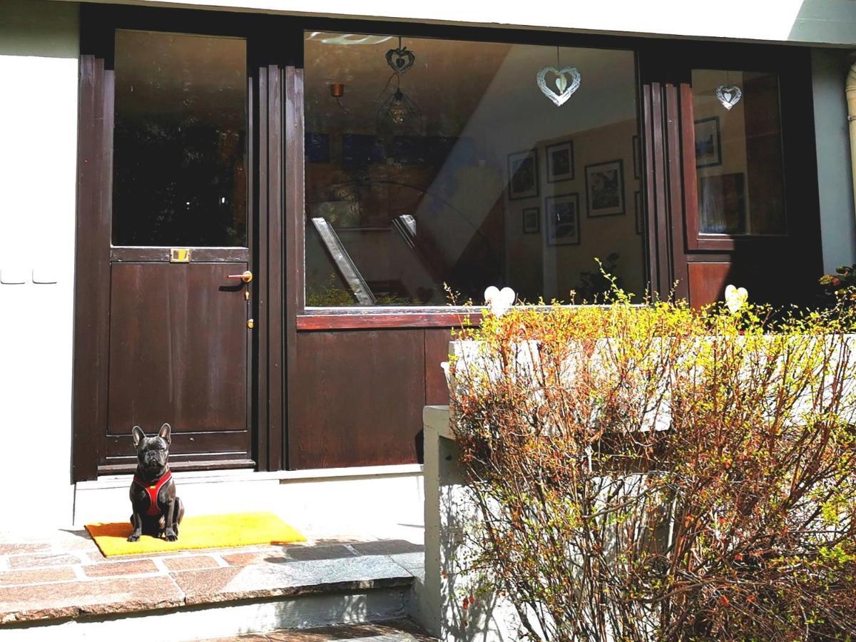 Dapolo - Cosy Appartment In Val Di Fassa Campestrin エクステリア 写真